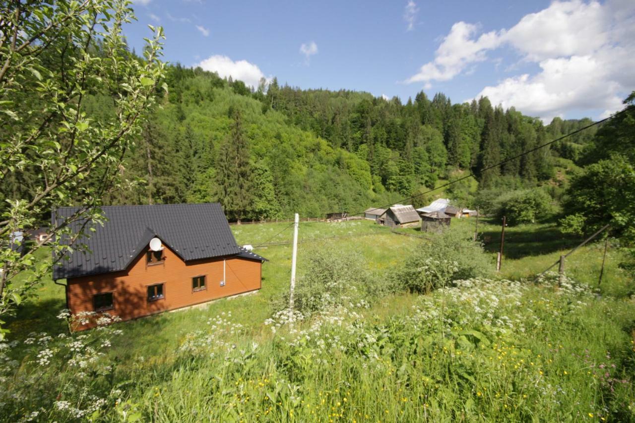 Ozdoba Villa Verkhovyna Exterior photo